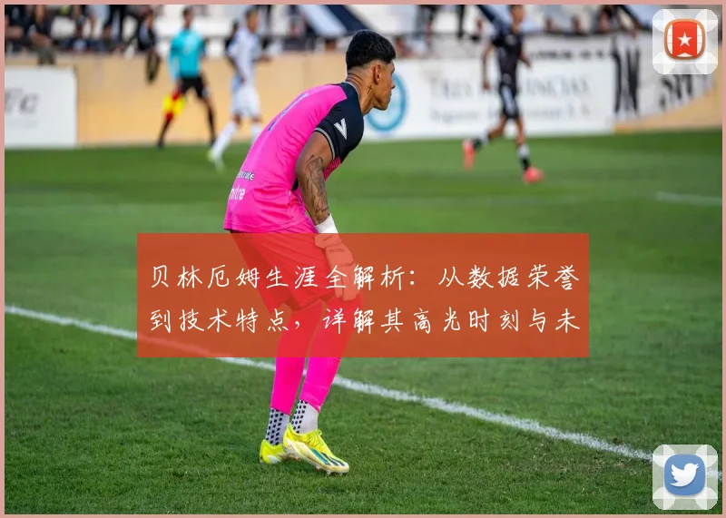 贝林厄姆生涯全解析:从数据荣誉到技术特点,详解其高光时刻与未来前景